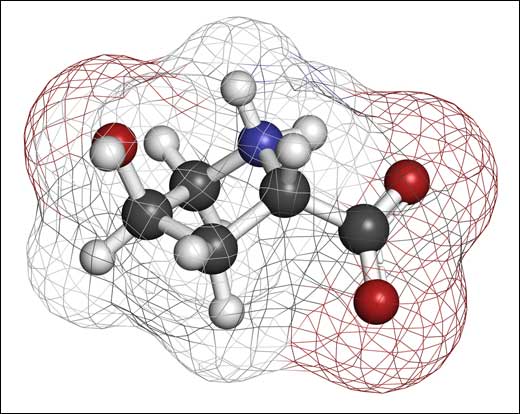MOLECULA DE COLAGENO