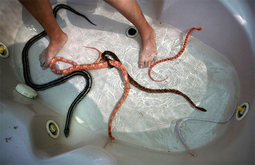 SNAKE MASSAGE